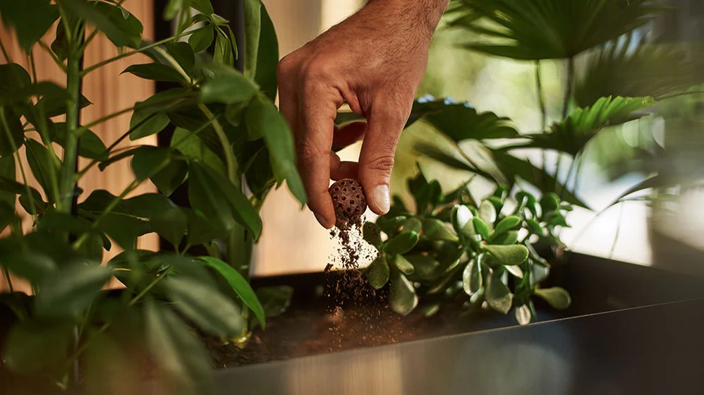 Delica CoffeeB - 100% garden compostable, sustainability-driven, eco-friendly